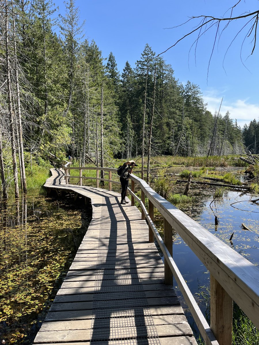 travels_galaxy's tweet photo. 🇨🇦 Smugglers Cove Provincial Park, Sunshine Coast, British Columbia
It was our first time exploring this part of the world; we found a couple great hiking spots like this one with forests, marshes & oceanfront views. Amazing!
#travel #explorebc #letsgoadventuring https://t.co/7UNR776dFD