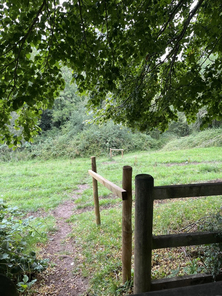 Toby and the #volunteers have installed these rails at Wigwell beyond the cemetery to stop people falling over in the mud when it gets wet and wintry on the slope. These will be very useful for the #community. Thank you! #charlbury #westoxfordshire #cotswolds #naturereserve