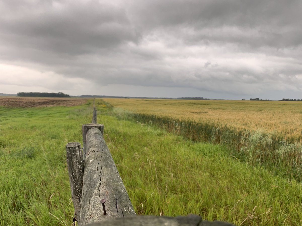Moody day in the country #Ranchlife #westcdnag