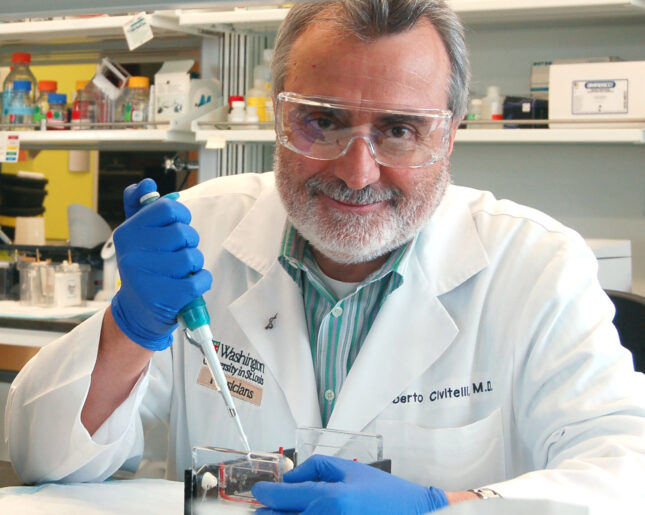 🏆 Congratulations Dr. Civitelli for receiving the ASBMR 2023 Gideon A. Rodan Excellence in Mentorship Award!  Your  dedication to guiding future scholars is truly commendable.👏#ASBMR2023 #wustl #wustlbmd