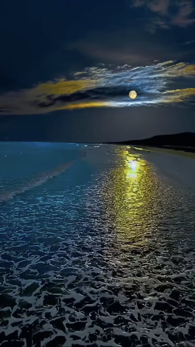 laddi_kaur's tweet photo. 💤💤💤 https://t.co/6TwyyYNPWq