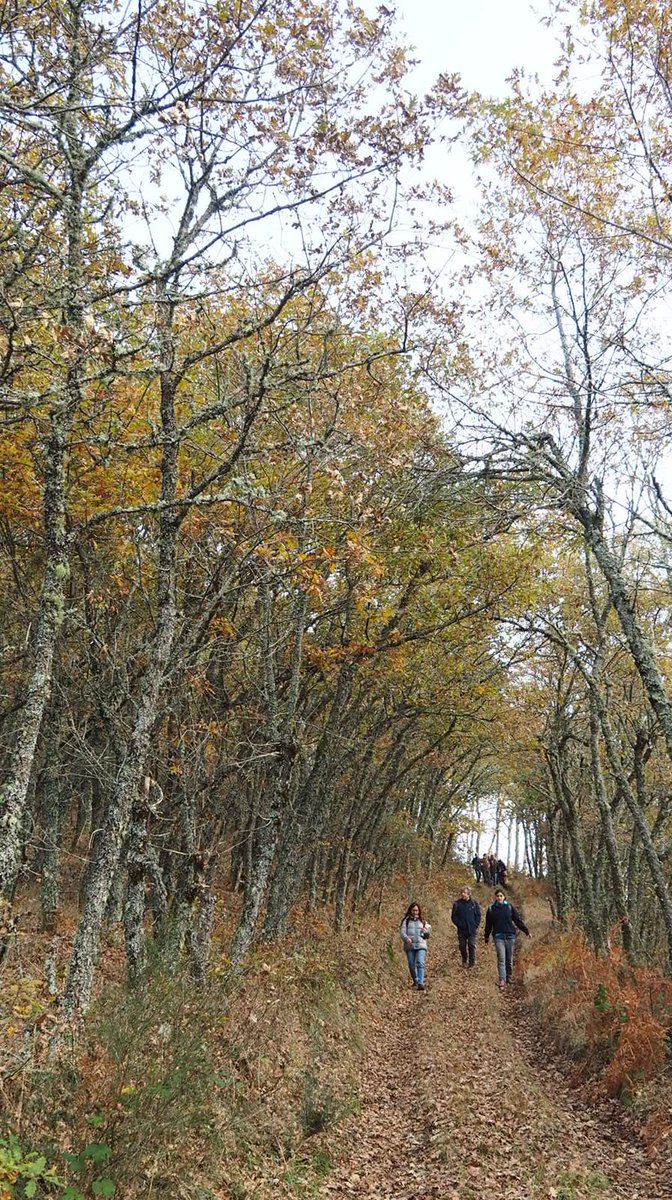 Organizamos unha 'Ruta Xeoliteraria polos poemas do Ámeto Mítico' con Nieves Neira. O 1 de agosto iniciamos ás 11h no Alto de San Roque. Pechamos ás 14h30 en Pacios🐾
Inscrición no correo: info@uxionovoneyra.com
#festivaldoseidos #territoriocultura 
#agadic #xuntadegalicia