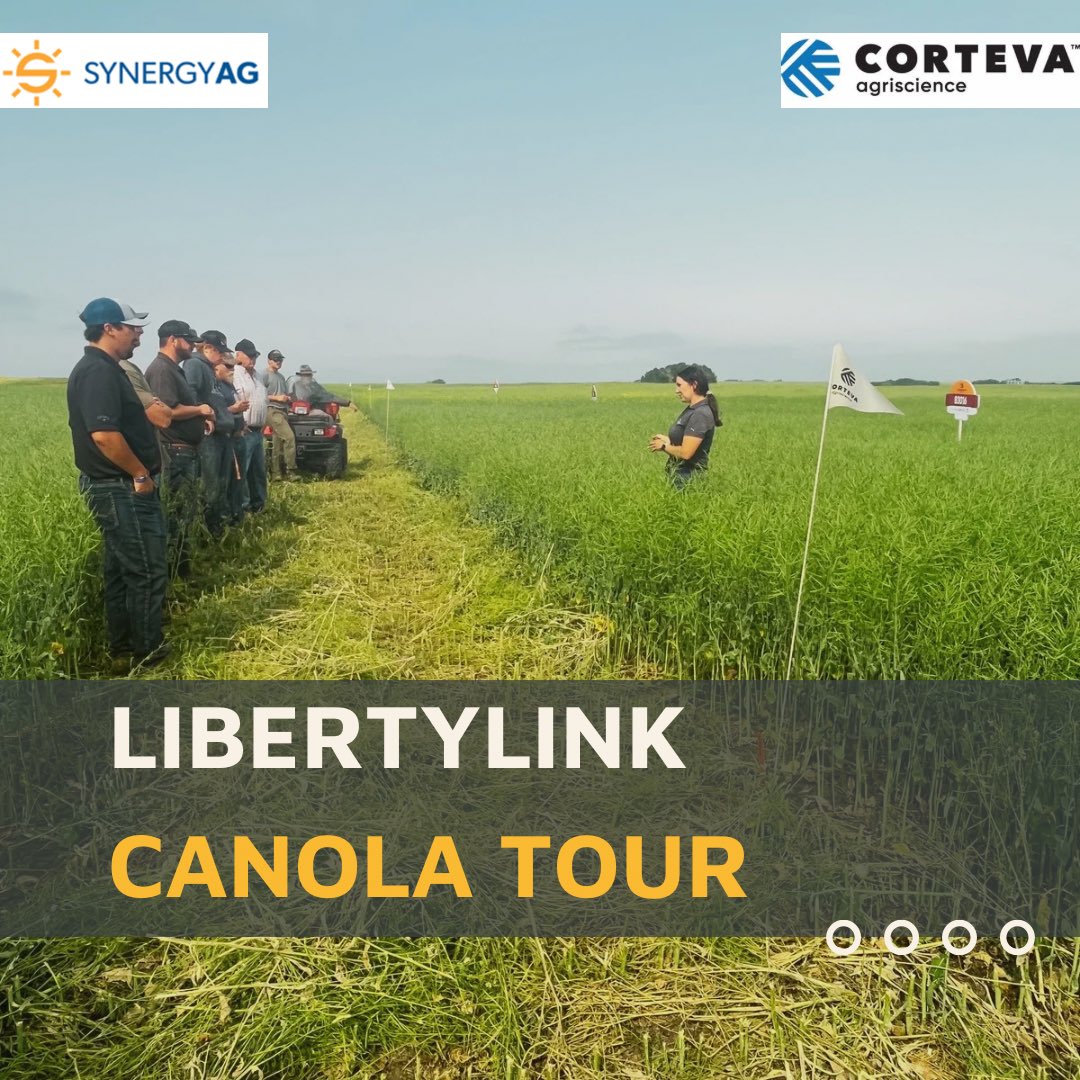 Was a great day yesterday for our Brevant Seeds tour! Huge shoutout to Caity from <a href="/corteva/">Corteva Agriscience</a> for taking us through and teaching us about their portfolio. 

Give a SynergyAG rep a call if interested in seeing this plot or learning more about it!