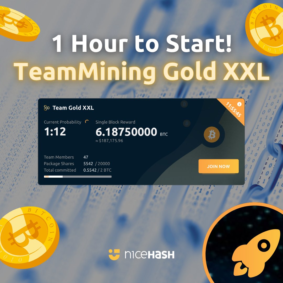 NiceHashMining's tweet photo. Our second #TeamMining Gold XXL package starts in an hour! https://t.co/50ffEiSb9L