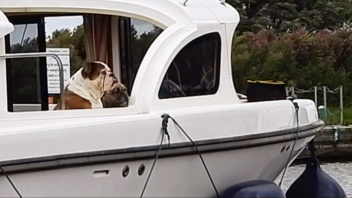 MyNorfolk's tweet image. Ludham Bridge Cruising the Norfolk Broads: 1st Cruiser Names | Subscriber Special #subscribers #boatnames
youtu.be/8GJFNoQ8Ev8