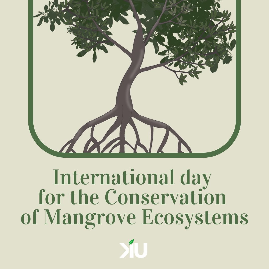 Preserving Nature's Coastal Guardians: Happy International Mangrove Day! 🌿🏝️ 
#MangroveConservation#MangroveDay #EcoBalance#SustainableFuture#EcosystemHealth#ProtectOurCoasts