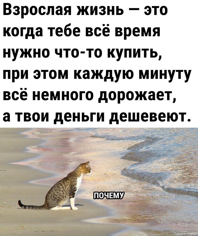 Yaplakal.com (@yaplakalcom) on Twitter photo 