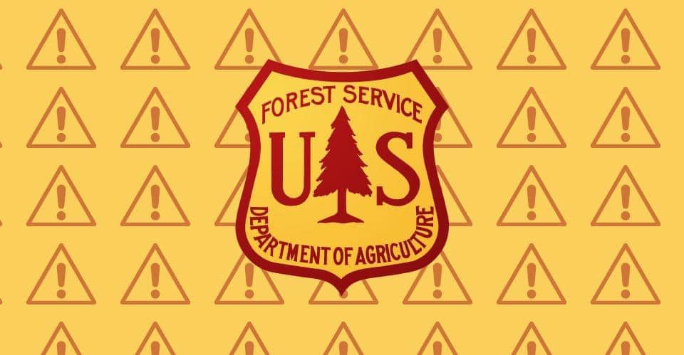TontoForest tweet picture