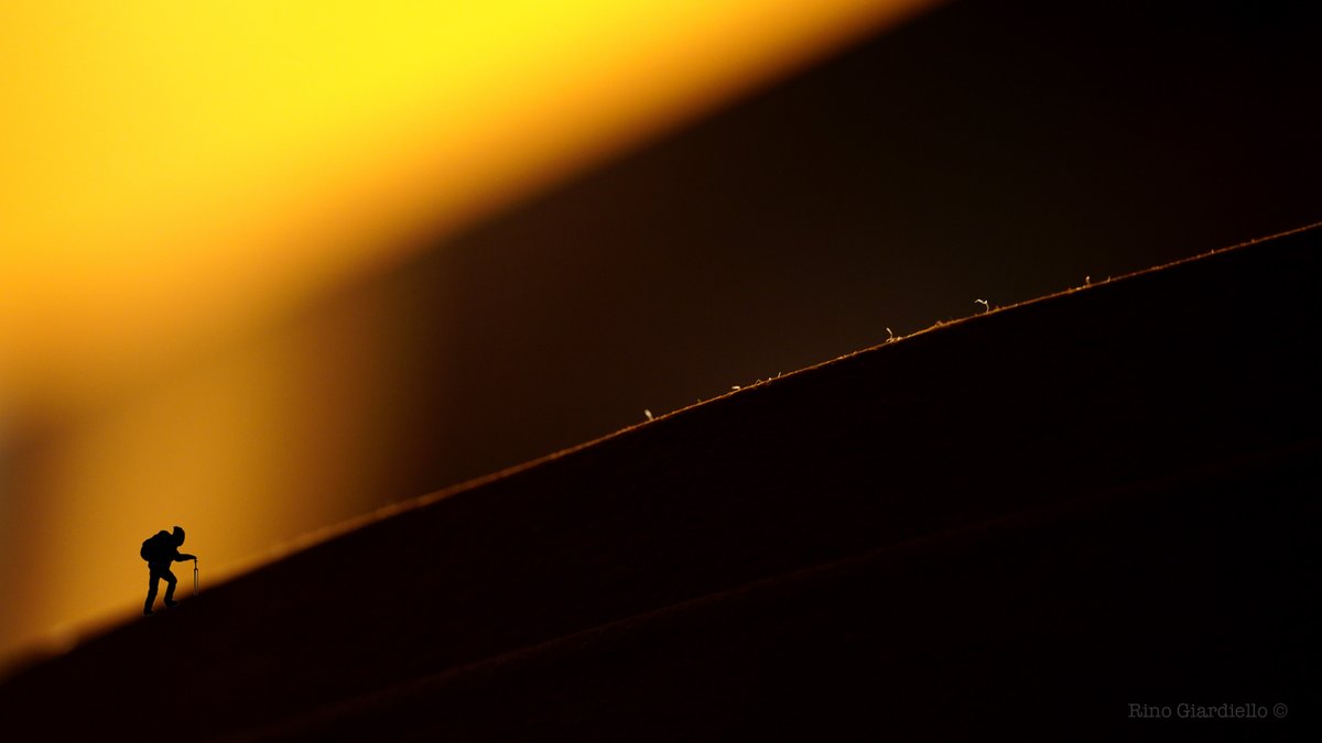 Rino Giardiello tweet media