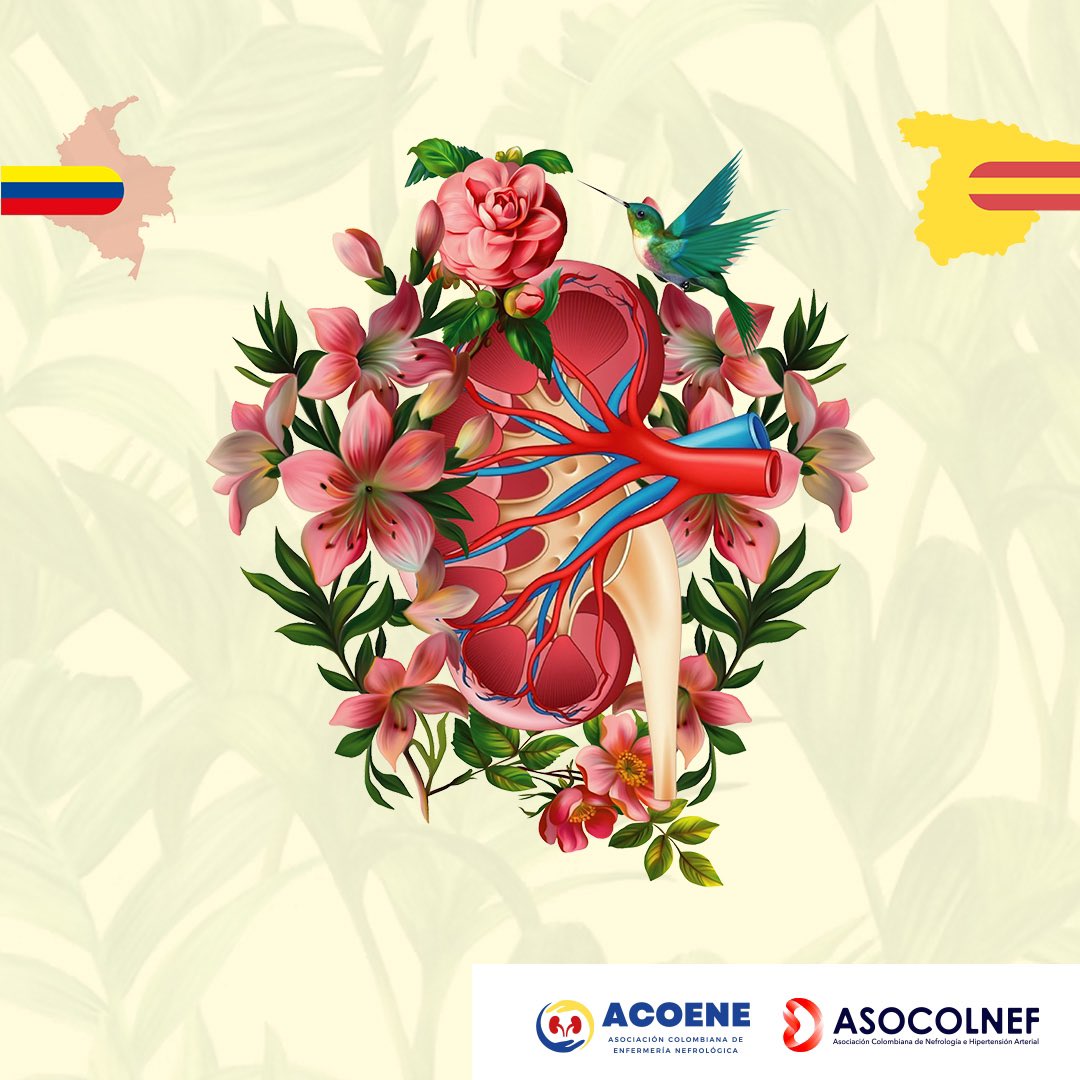 asocolnefmedios's tweet photo. ⏰
Lo invitamos a participar del XXV SIMPOSIO Nacional de Nefrologia, Diálisis y Trasplante junto al 1er Simposio Colombo Español de Enfermería Nefrologica. 
Regístrese aquí: https://t.co/oe94uN44Wl…

#nefrologia #nefrologiasalud #asocolnef #medicinarenal #saludrenalparatodos https://t.co/yorXacsJBi