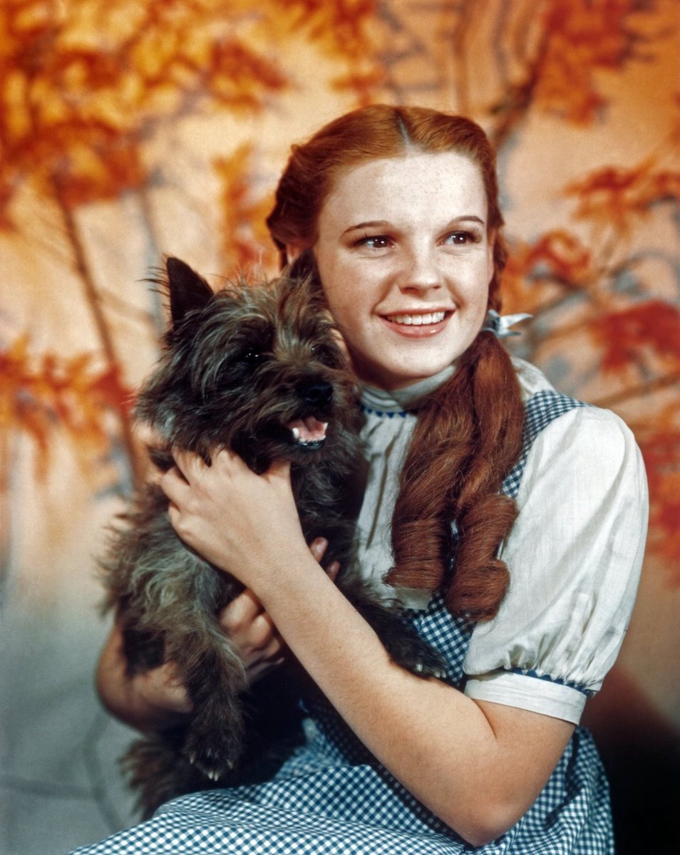 Dorothy & Toto 💙🌈