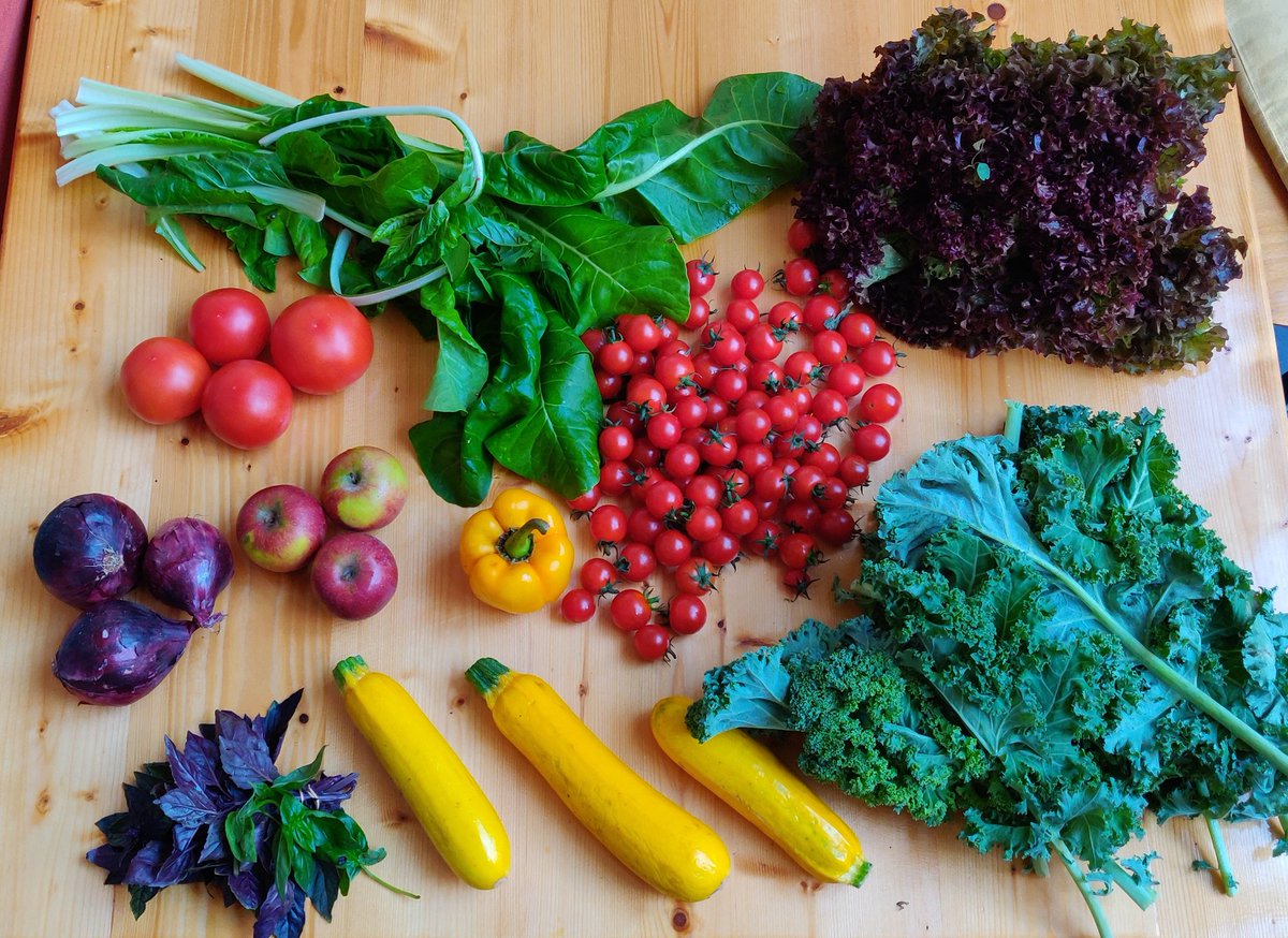 Wow! ...Even naar <a href="/Lekkernassuh/">Lekkernassuh</a> geweest! 👍🏻👌🏻😋 #Bio #lokaal #vanhetseizoen #geenplastic