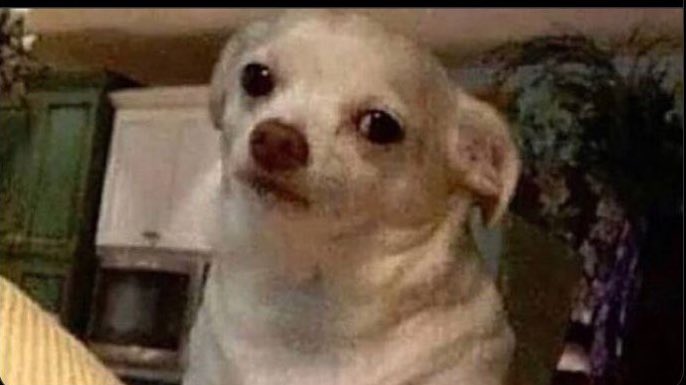 when you’re hungry and someone tryna be funny