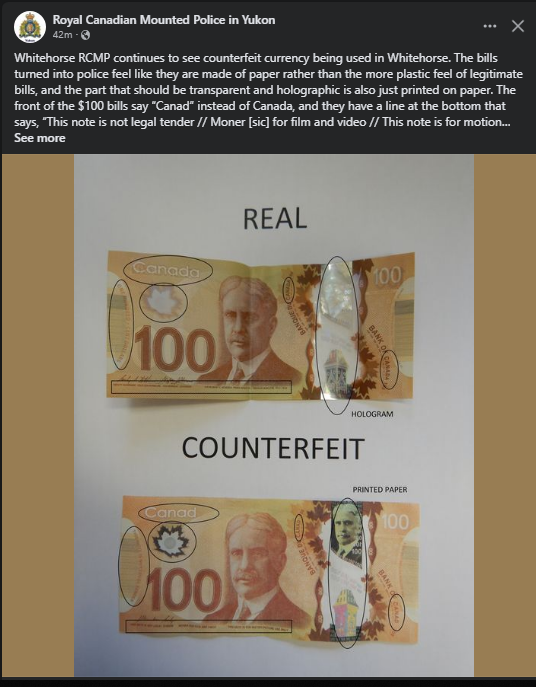 Chris Windeyer tweet media