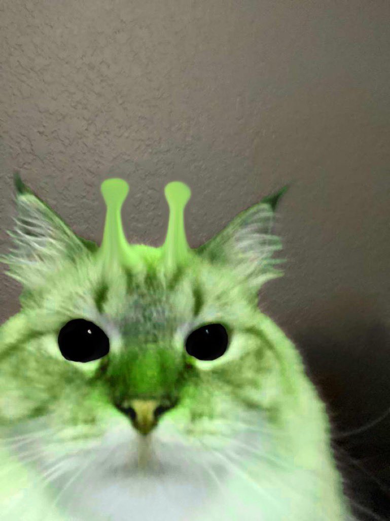 lou (@lounrro) on Twitter photo 