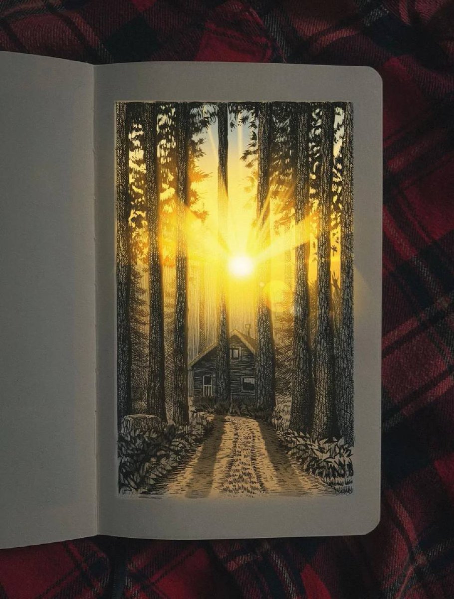 Everyday trivialities and romance❤️