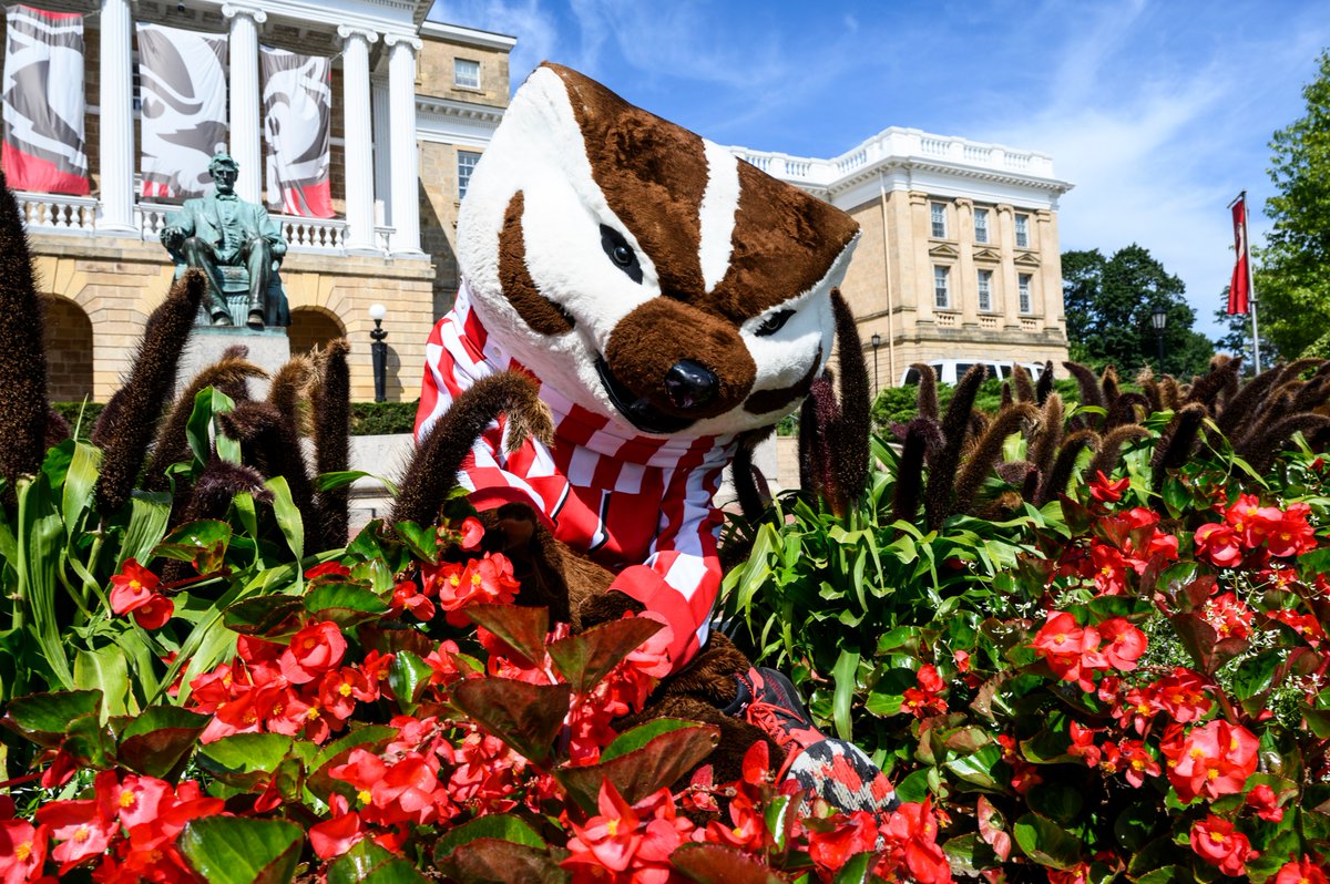 Did you know the University of Wisconsin is celebrating its 175th Anniversary this week? 🎉

Happy Anniversary Badgers! 

#UW175 #WisconsinWednesday #OnWisconsin