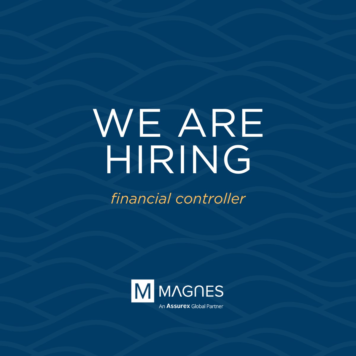 We are actively seeking a dynamic and experienced Financial Controller to join our growing team.

Apply Now ▶ magnesgroup.com/about-us/caree…

#FinancialController #FinanceLeadership #JobOpening #HiringNow #JoinOurTeam #CareerOpportunity