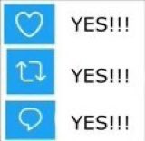 who wants the bird back?