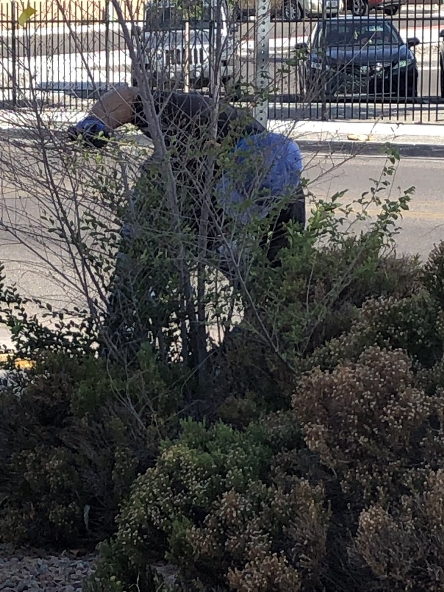 We had a warm but successful campus cleanup this morning <a href="/EGRossrams/">EGRoss</a> ! Thank you Shine volunteers, Hope High School students, EG Ross Community for all the help today!