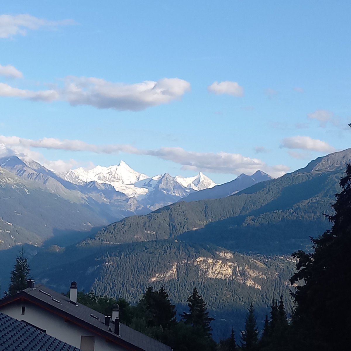 FrankGladisch's tweet image. #DerWegistdasZiel