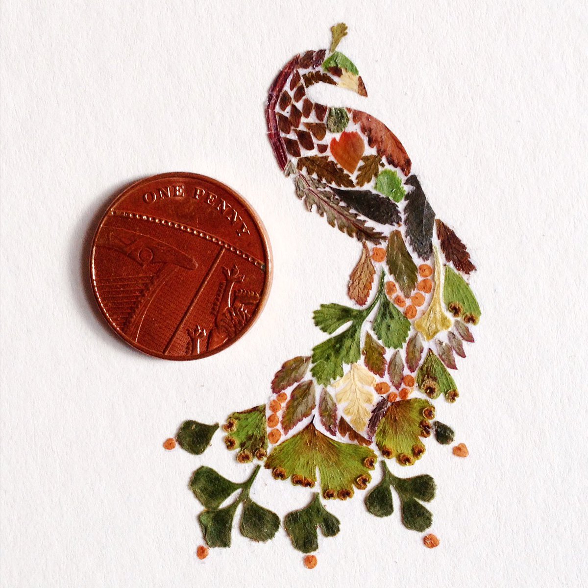 A little pressed fern peacock with a penny for scale 🦚🌿