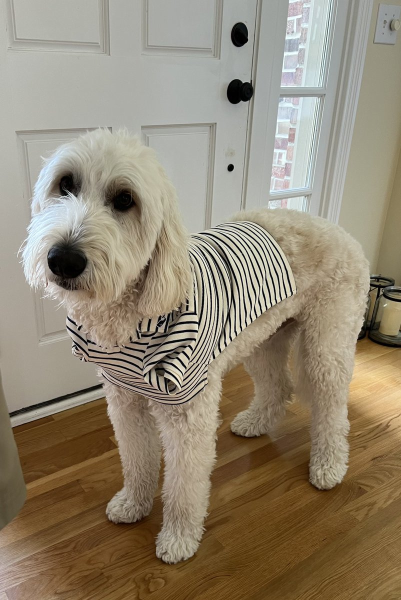 Auntie <a href="/skeensb/">Amy Skeens-Benton</a> sent me a back to school shirt! Mom says I have to get used to sleeves now that I’m back at school.  Love you Rosie and Aunt <a href="/skeensb/">Amy Skeens-Benton</a>