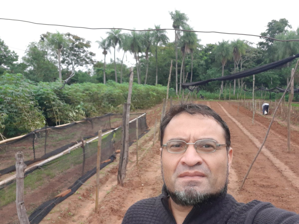 Valoremos más a la gente del campo, que lo único que piensan es en su cultivo, trabajando van honestidad y humildad día a día y no pensando en joder y robar a nadie, Viva el campo y los verdaderos Campesinos <a href="/MinisteriodeAg1/">Ministerio de Agricultura, Ganadería y Pesca</a>
