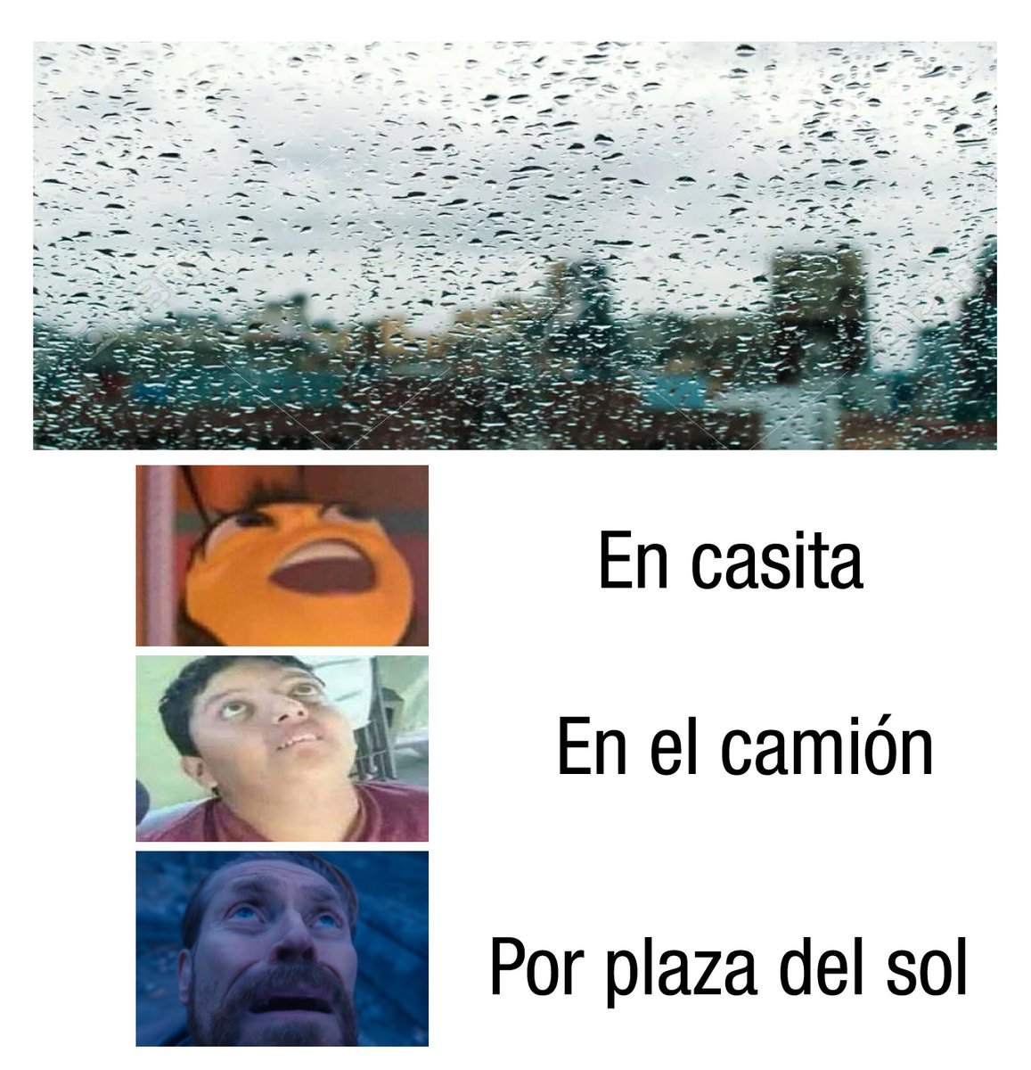 Shitpost Guadalajara tweet media