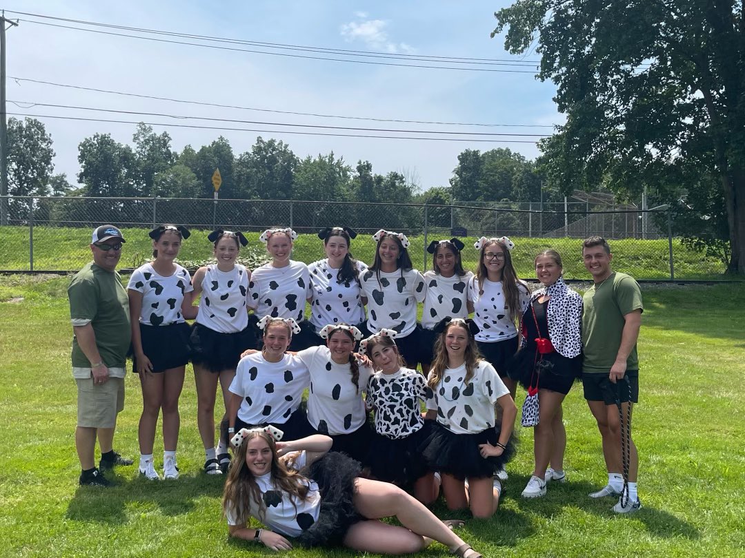 Capital District Fusion Softball tweet media