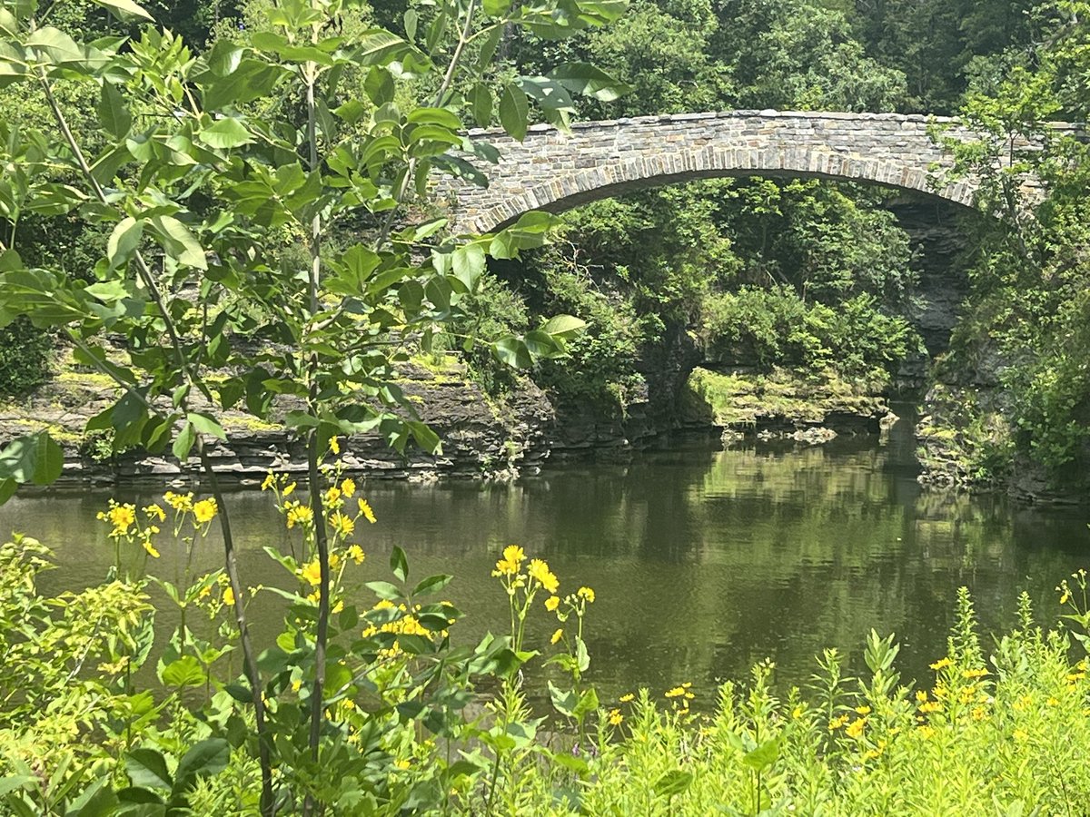 MagdalenLindebe's tweet image. Grateful to have Beene Lake a 3 minute walk from my office ☺️ @CornellCALS
