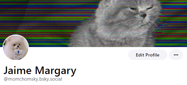 Mom Chomsky (@Margarondongo) / Posts / X