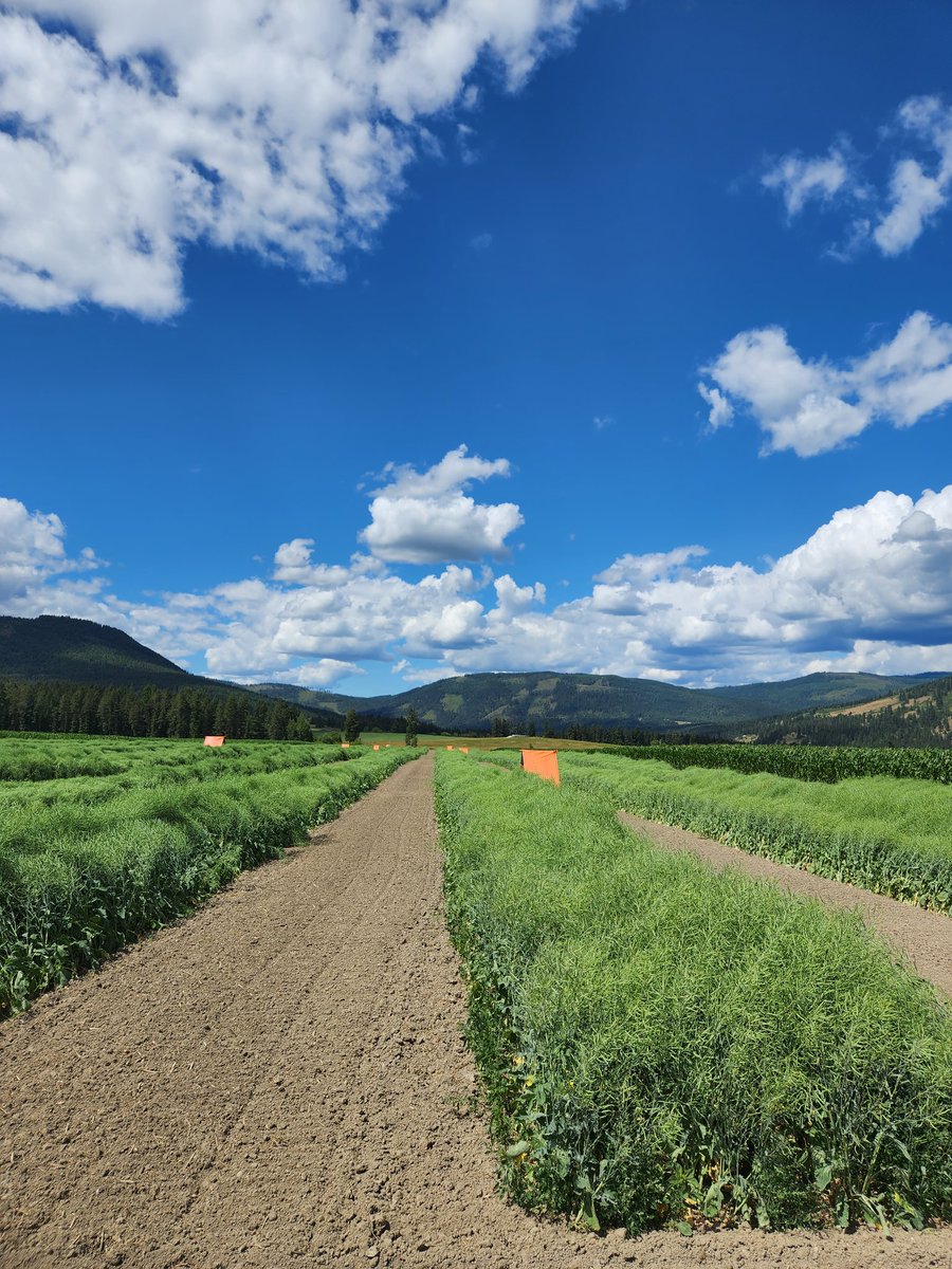 Uncle Jess tweet media