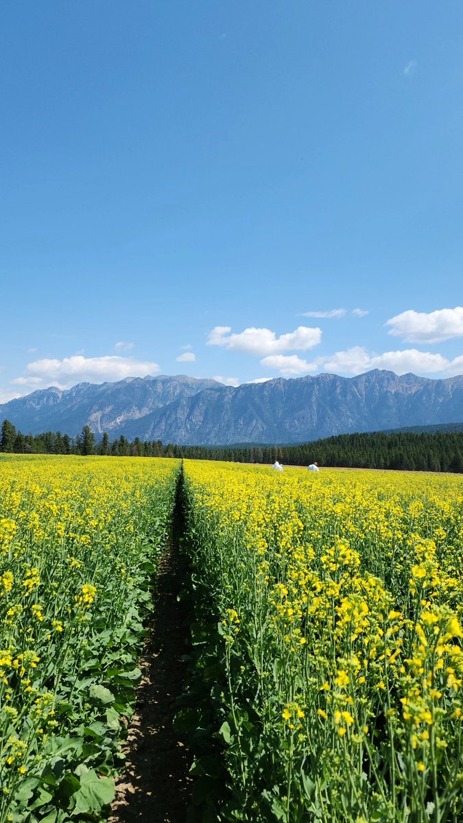 Uncle Jess tweet media