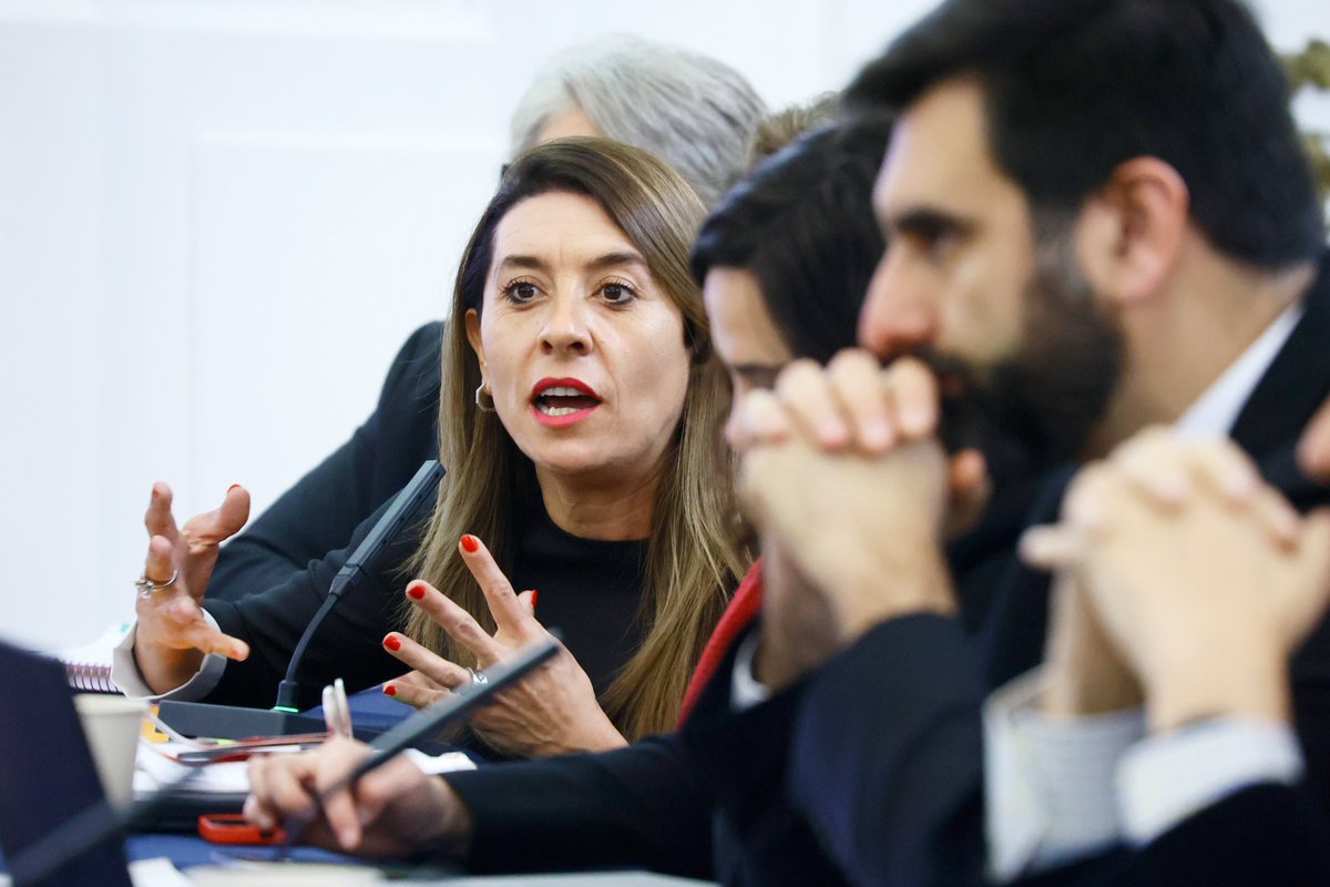 Proceso Constitucional tweet media