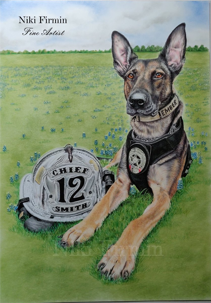 NikiFirmin's tweet photo. Hi everyone! 😎
Back in the studio after a week off. Here is beautiful @K9.Ember's portrait complete  🥰💙🐕‍🦺🐾x

@tcesd12 @OnPatrolK9 @OnPatrolLive
@K9_heroes @K9s4COPs
@k9copmagazine @K9Magazine
@PoliceK9
#policedog #firek9 #workingdog #animalartist #artist #artwork https://t.co/twCFOKIrFM