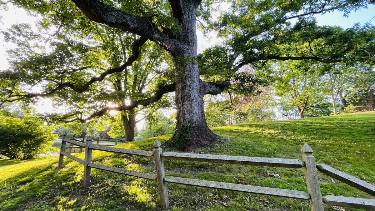Did you miss out on one of our incredible past RINLA #events? Don't worry, we've got you covered! Head over to our #GrowingFutures blog and relive the excitement through our stunning posts! 🌱🌿

bit.ly/GrowingFutures…
#RIevents