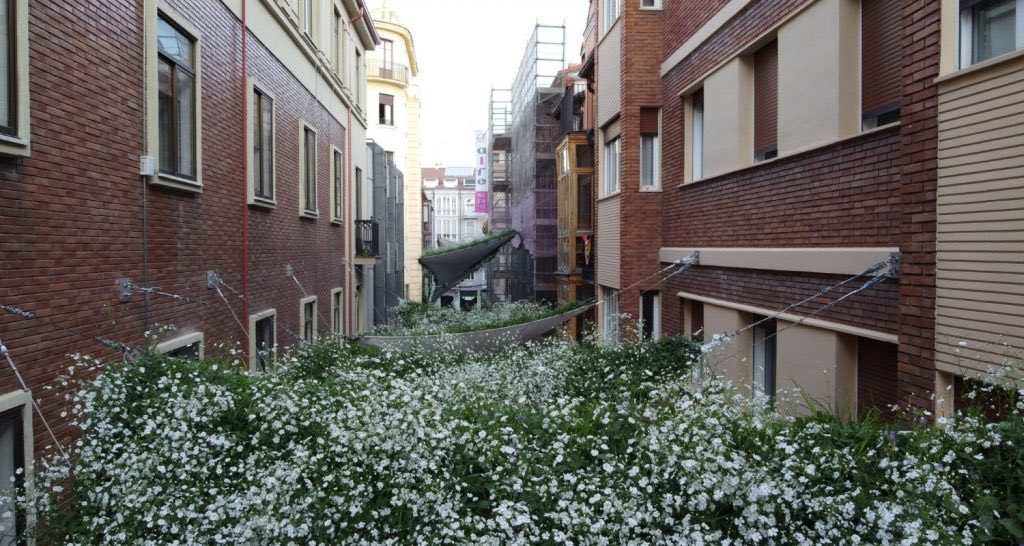 WvNoort's tweet photo. Slimme oplossing tegen de hitte en voor meer groen in steden van Spaanse startup: levende luifels.

Bron: Singular Green https://t.co/1R44vWZRrf https://t.co/sZb1pCcef5