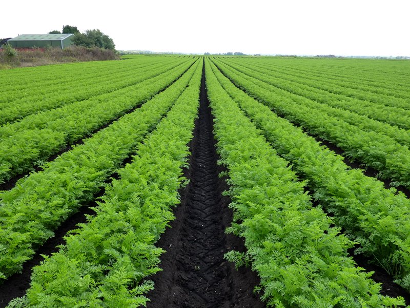 Better #FoodSystems investments are investments in a better future where there is no hunger, communities are thriving, and our planet is flourishing.