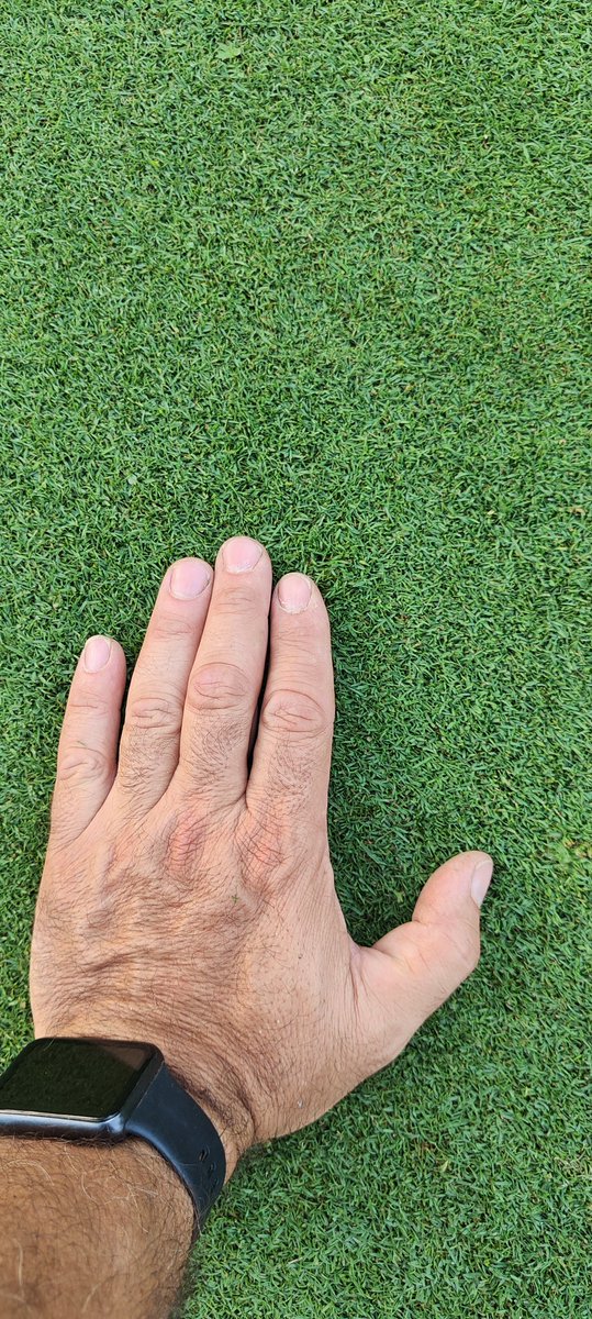 Alessandro IL PRATO RESEARCH CENTER tweet media