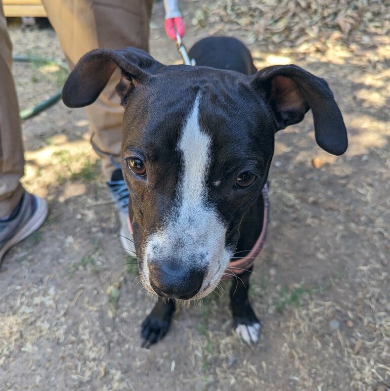 Garret Spenst For Hire tweet media