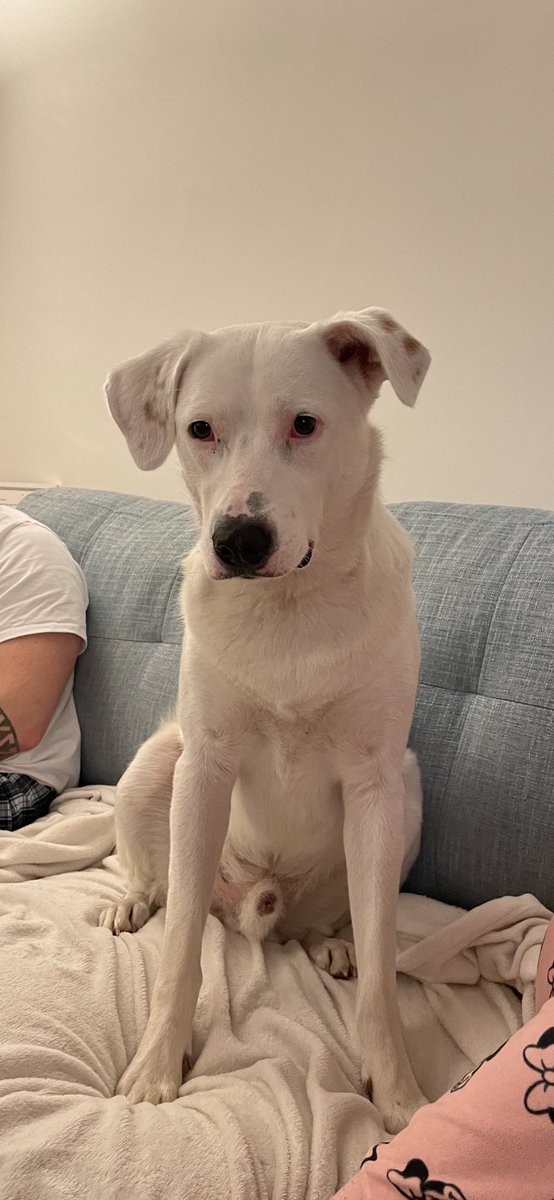 Roseanna tweet media