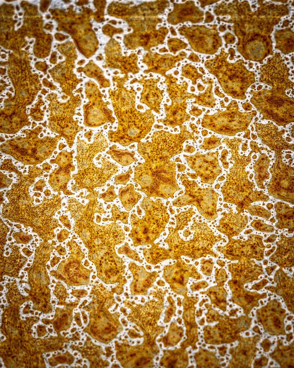 The great British summer 🌧️ 

We have had our garden re landscaped and I put this corten steel bird feeder out yesterday. Due to this magnificent British weather it has started weathering straight away and it looks superb! Loving watching the steel turn to rust 😍