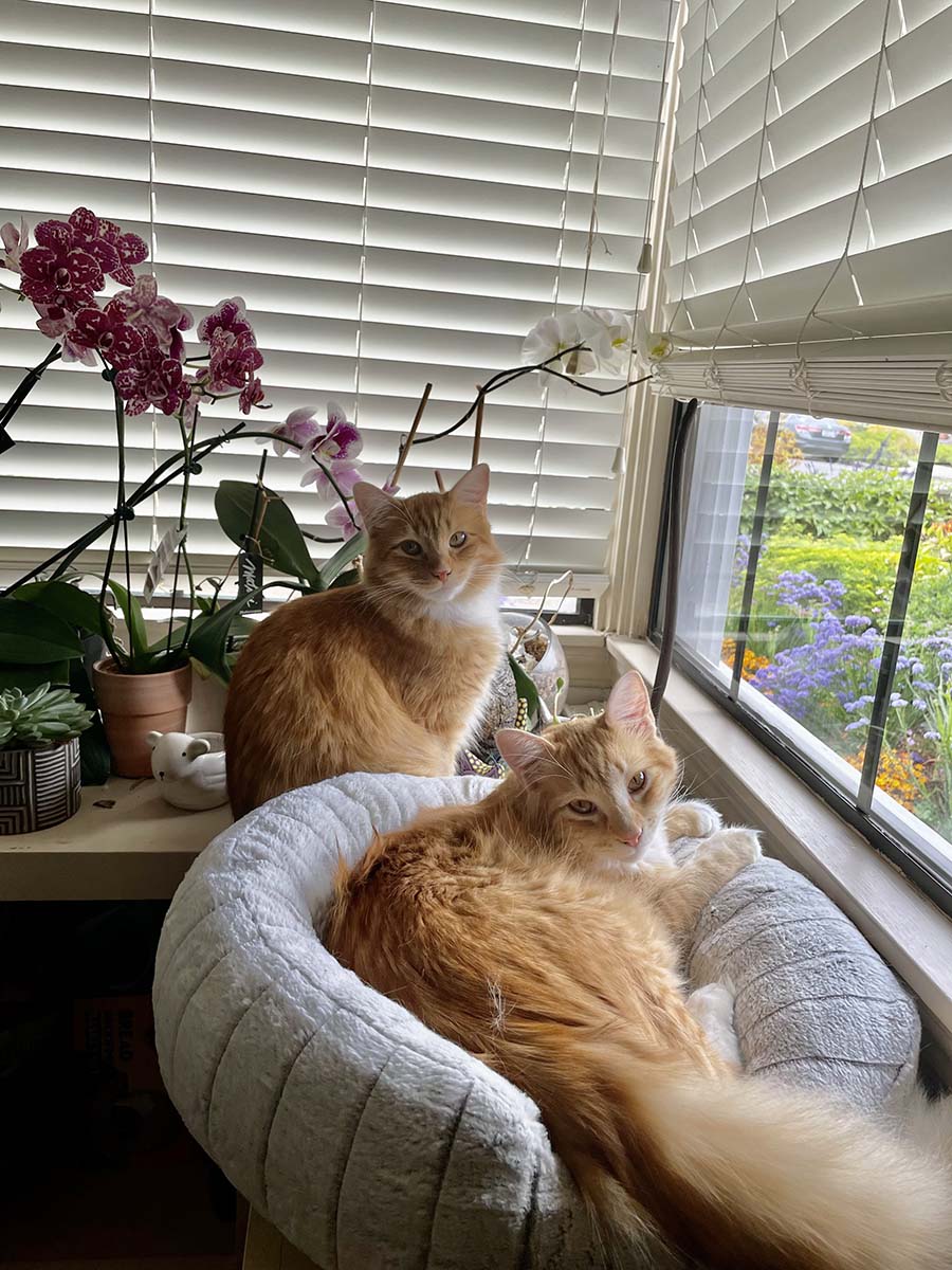 Jeannie Evers tweet media