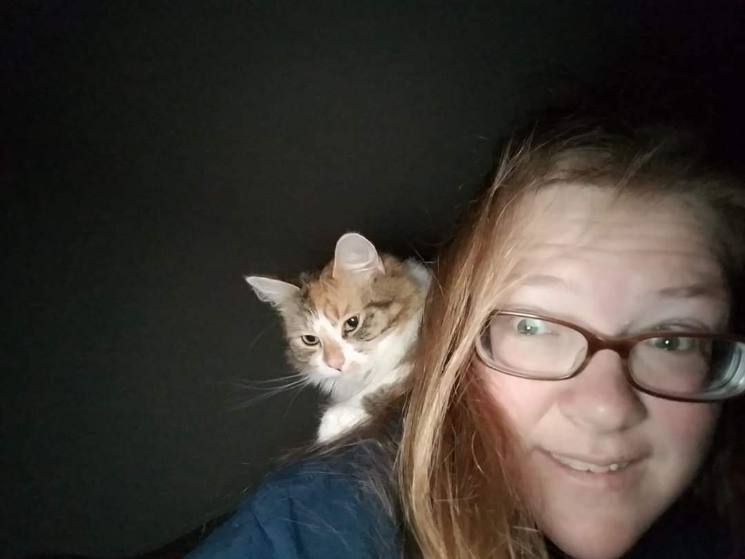 Jeannie Evers tweet media