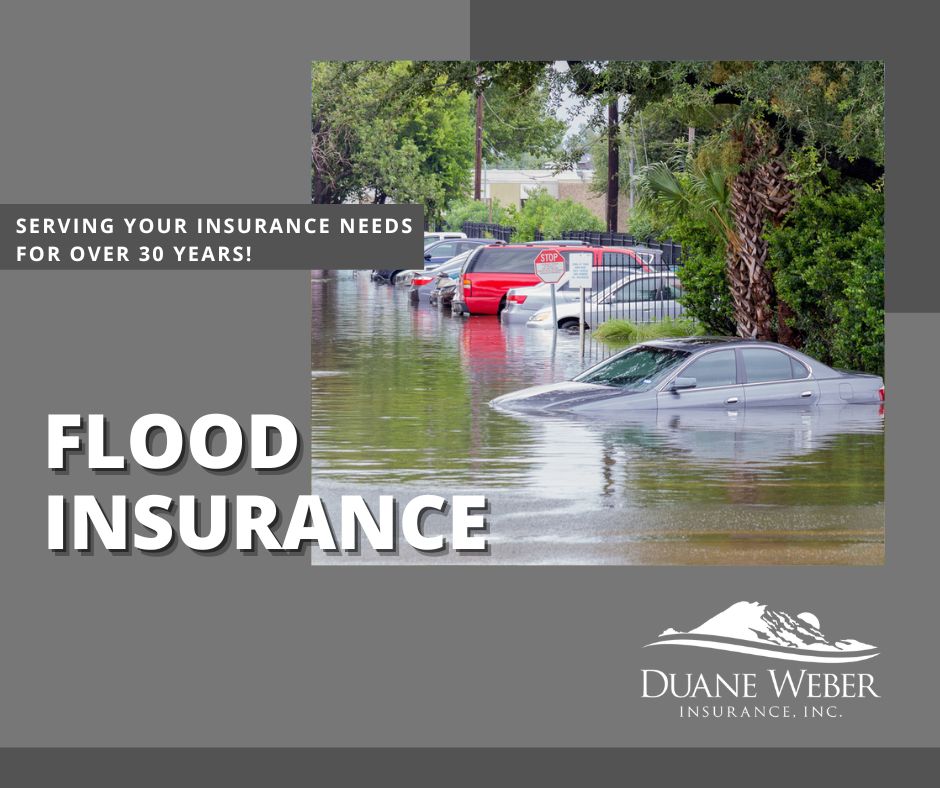 DuaneWeberInsur's tweet image. Don't let a flood wash away your financial security. Explore the importance of flood insurance and protect your home and belongings. Call us today to get covered!
dweberins.com/services/
#FloodInsurance #DuaneWeberInsurance #SumnerWashington  #Washington #WashingtonInsurance