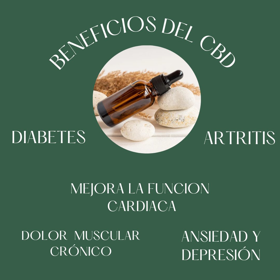 nexaali's tweet photo. Queridos amigos por fin tenemos #CBD presentación de 30 y  50ml

Pedidos 
5534460282 https://t.co/vpw25H9iIU
