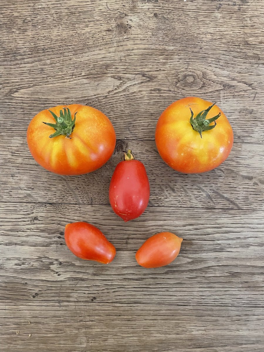 ☘ L'Irlandais de Blois ☘ (@celticspirit42) on Twitter photo 