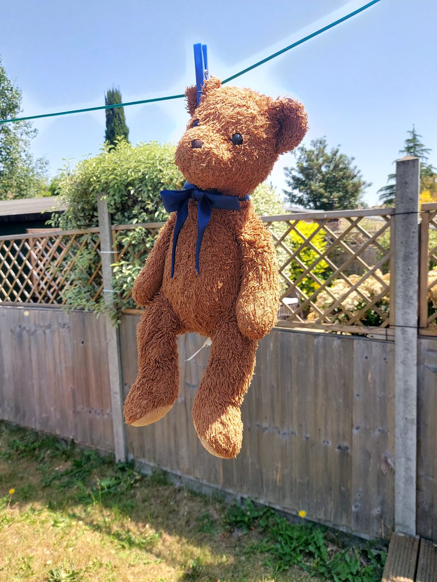 LOST BEAR APPEAL: My son is devastated after losing his treasured bear somewhere between Cineworld Feltham and home (Whitton), having walked & taken the train back. We'll be checking @SW_Help lost property, but if anyone has seen him 👇🏽, pls let me know! Hamley's logo on foot.