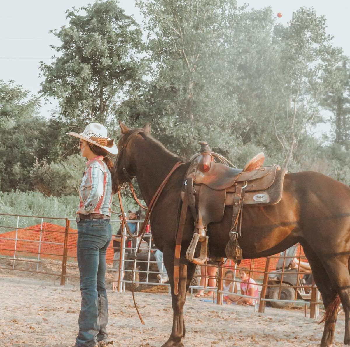 gorls just wanna have *a good lookin’ black ranch pony